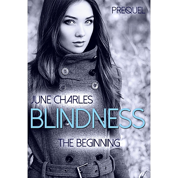 Blindness: The Beginning - Prequel / Blindness Bd.4, June Charles