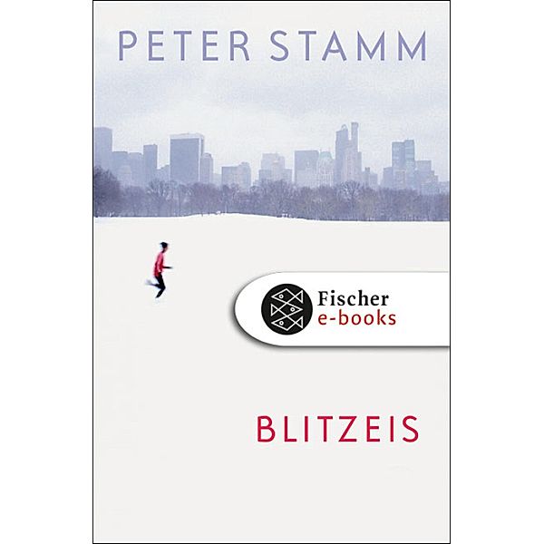 Blitzeis, Peter Stamm