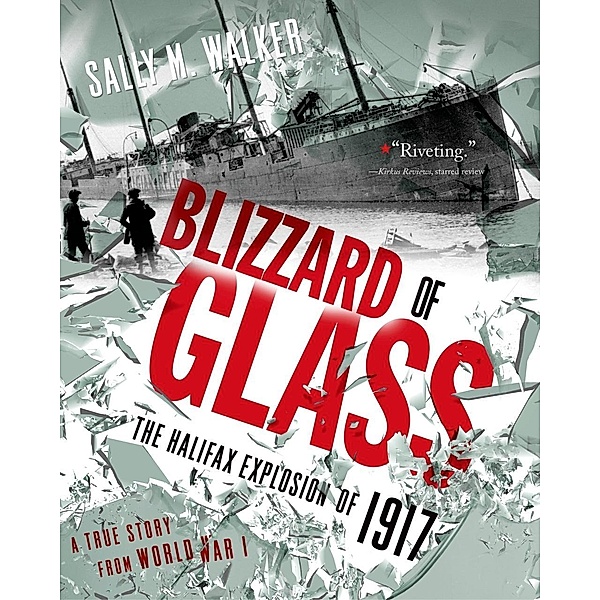 Blizzard of Glass, Sally M. Walker