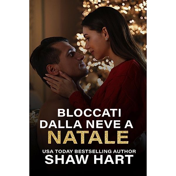 Bloccati dalla neve a Natale (Happily Ever Holiday) / Happily Ever Holiday, Shaw Hart