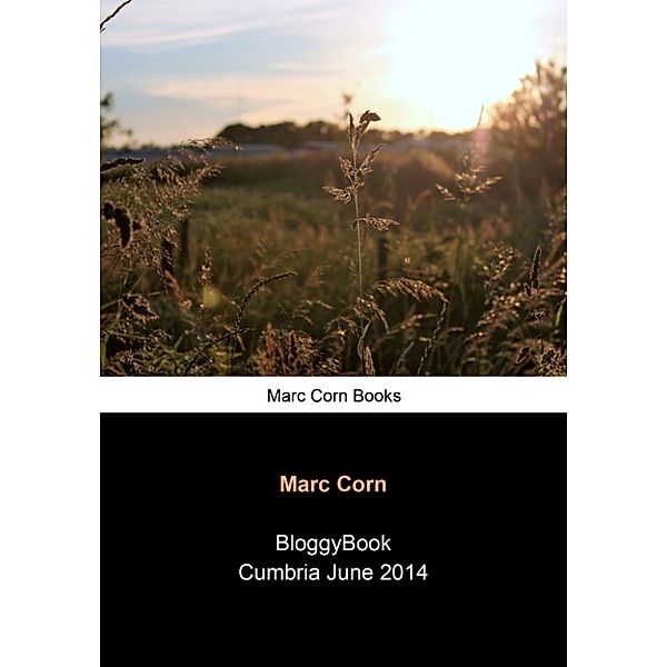 BloggyBook: BloggyBook Cumbria June 2014, Marc Corn