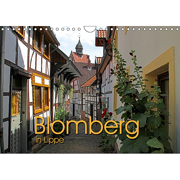 Blomberg in Lippe (Wandkalender 2019 DIN A4 quer), Martina Berg