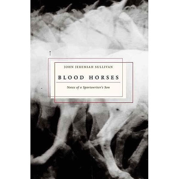 Blood Horses, John Jeremiah Sullivan