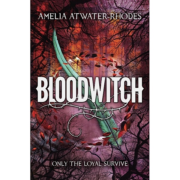 Bloodwitch (Book 1) / The Maeve'ra Series Bd.1, Amelia Atwater-Rhodes