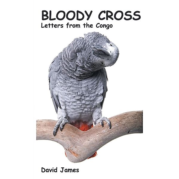 Bloody Cross, David James