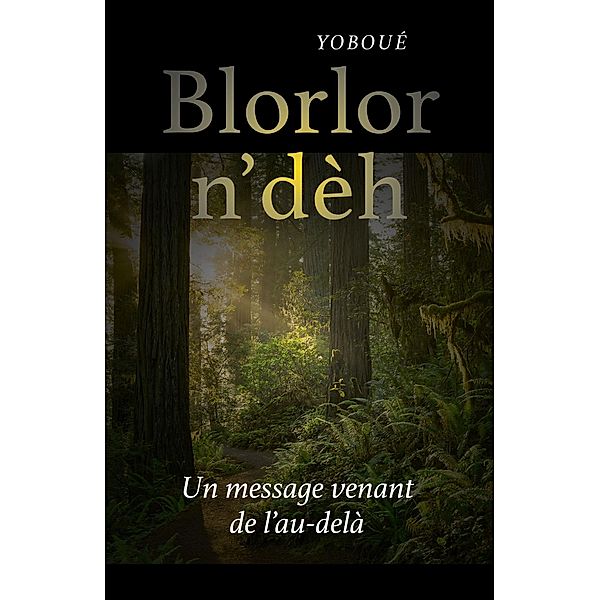 Blorlor n'deh / Librinova, Yoboue Yoboue