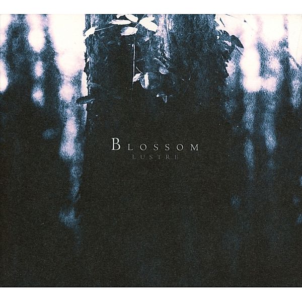 Blossom, Lustre