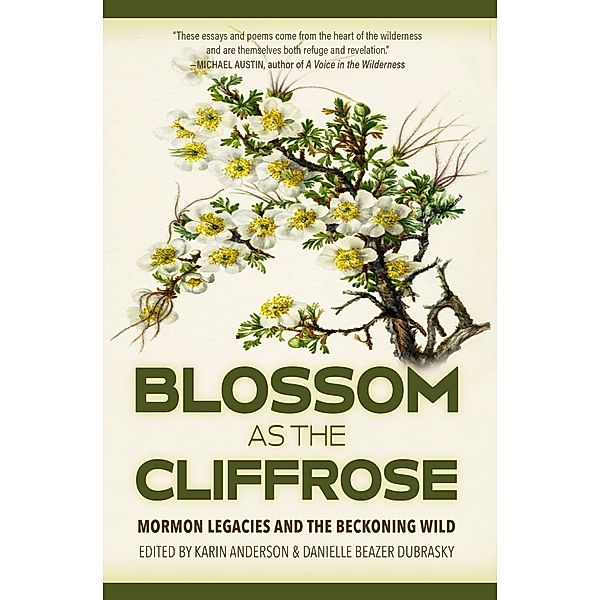 Blossom as the Cliffrose