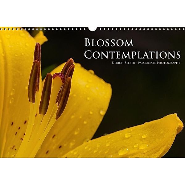 Blossom Contemplations (Wall Calendar 2017 DIN A3 Landscape), Ulrich Selzer