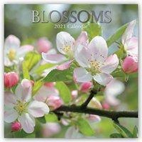 Blossoms - Blüten 2021 - 16-Monatskalender, Blossoms 2021
