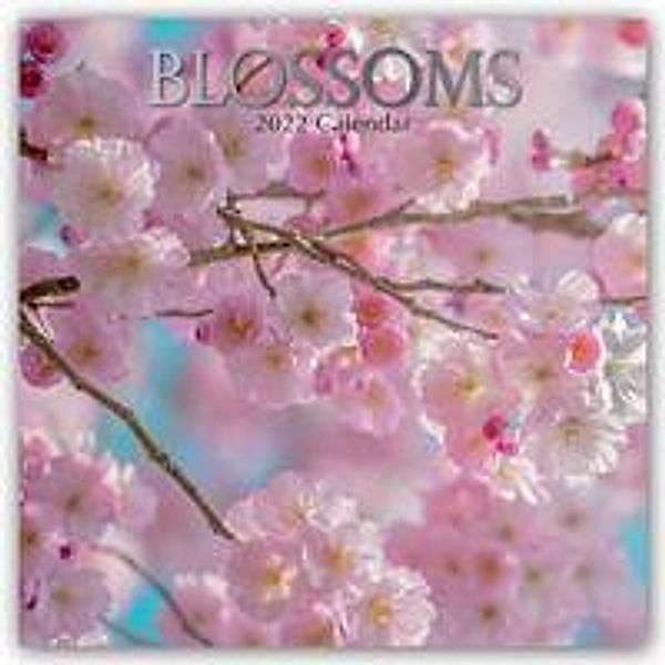 Blossoms - Blüten 2022 - 16-Monatskalender, The Gifted Stationery Co. Ltd