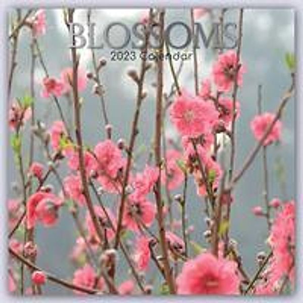 Blossoms - Blüten 2023 - 16-Monatskalender, The Gifted Stationery Co. Ltd