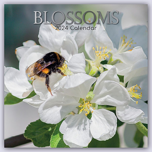 Blossoms - Blüten 2024 - 16-Monatskalender, The Gifted Stationery Co. Ltd