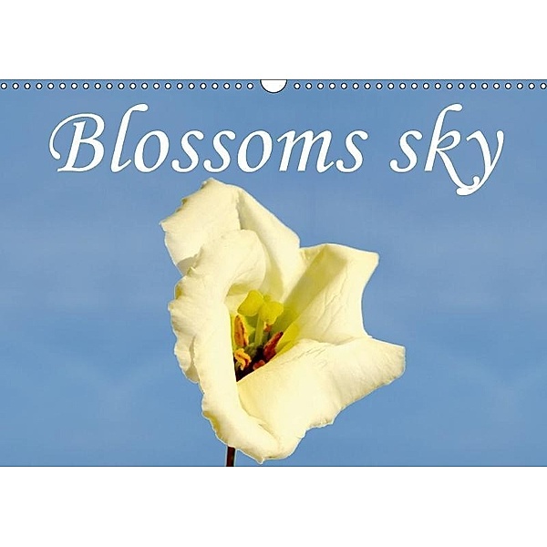 Blossoms sky (Wall Calendar 2017 DIN A3 Landscape), Frank Grabnar