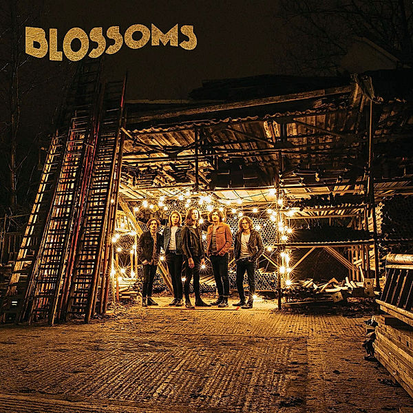 Blossoms (Vinyl), Blossoms