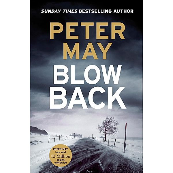 Blowback / The Enzo Files Bd.5, Peter May