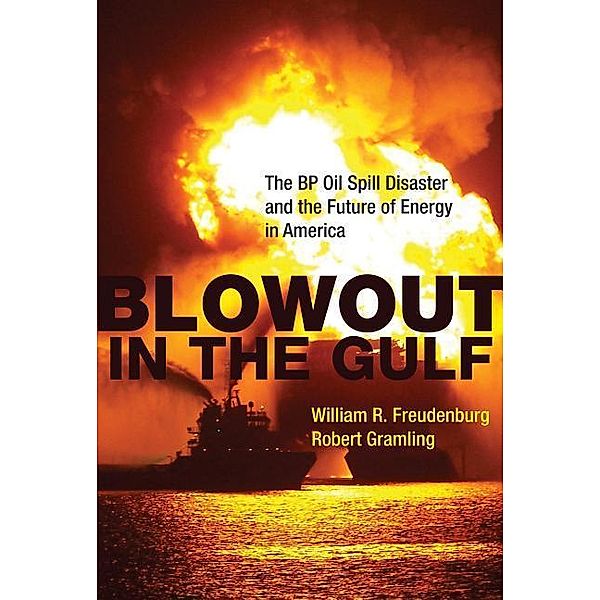 Blowout in the Gulf: The BP Oil Spill Disaster and the Future of Energy in America, William Freudenburg, Robert Gramling