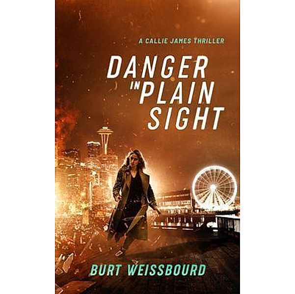 Blue City Press: Danger in Plain Sight, Burt Weissbourd