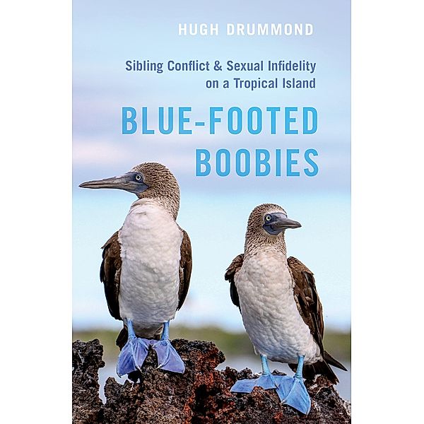 Blue-Footed Boobies, Hugh Drummond