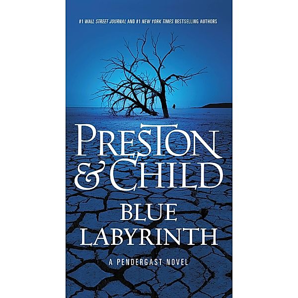 Blue Labyrinth / Agent Pendergast Series Bd.14, Douglas Preston, Lincoln Child