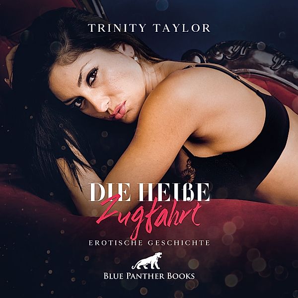 blue panther books Erotische Hörbücher Erotik Sex Hörbuch - Die heisse Zugfahrt / Erotik Audio Story / Erotisches Hörbuch, Trinity Taylor