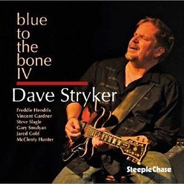Blue To The Bone Iv, Dave Stryker