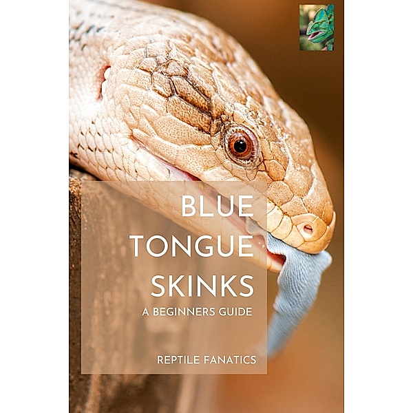 Blue Tongue Skinks: A Beginner's Guide to Keeping and Caring for Your New Pet, Reptile Fanatics