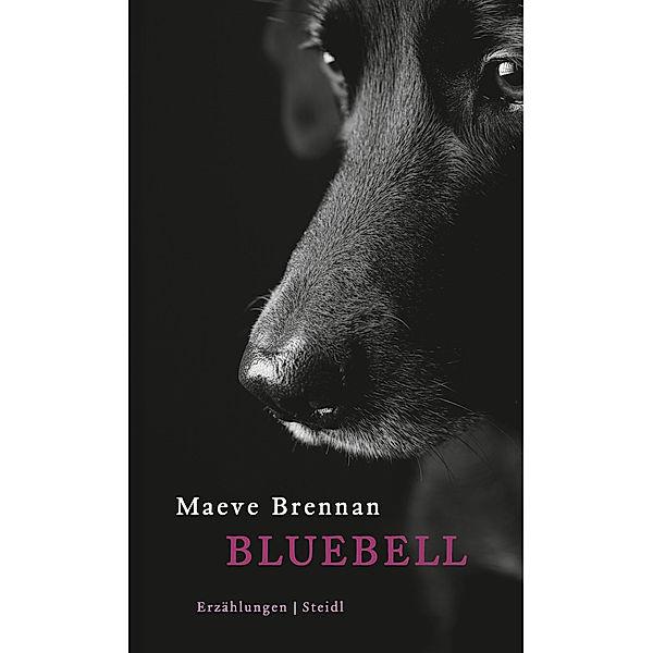 Bluebell, Maeve Brennan