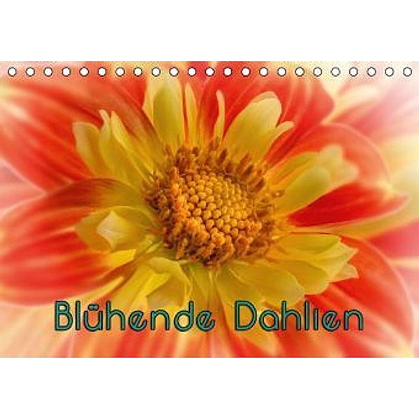 Blühende Dahlien (Tischkalender 2015 DIN A5 quer), oldshutterhand
