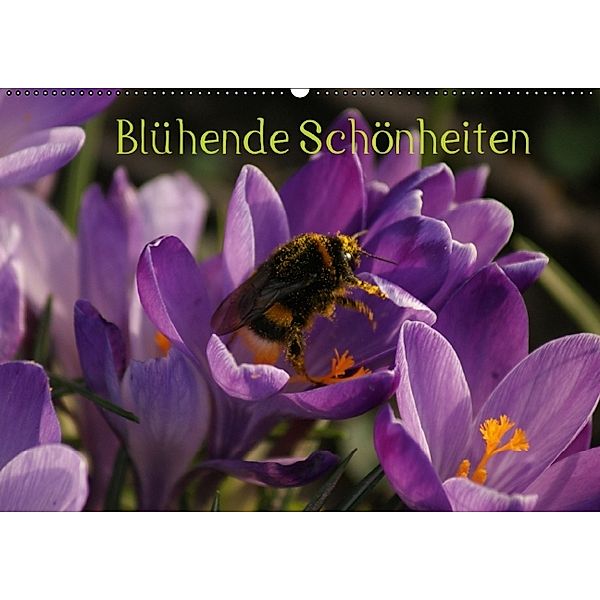 Blühende Schönheiten 2014 (Wandkalender 2014 DIN A2 quer), Peter Hebgen