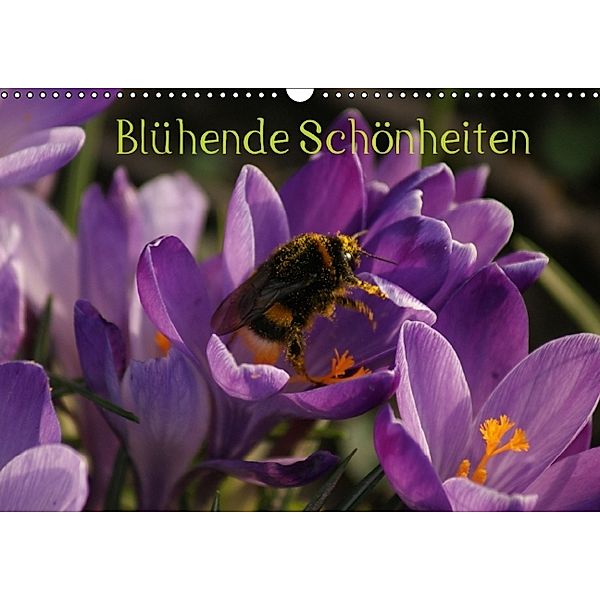 Blühende Schönheiten 2014 (Wandkalender 2014 DIN A3 quer), Peter Hebgen