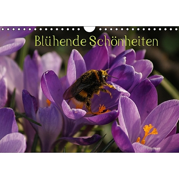 Blühende Schönheiten 2014 (Wandkalender 2014 DIN A4 quer), Peter Hebgen