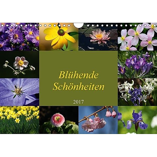Blühende Schönheiten 2017 (Wandkalender 2017 DIN A4 quer), Peter Hebgen