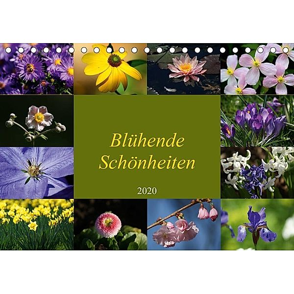 Blühende Schönheiten 2020 (Tischkalender 2020 DIN A5 quer), Peter Hebgen