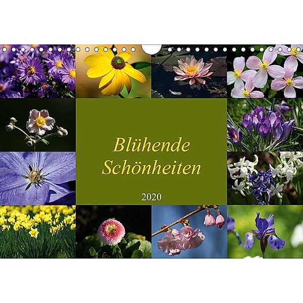 Blühende Schönheiten 2020 (Wandkalender 2020 DIN A4 quer), Peter Hebgen
