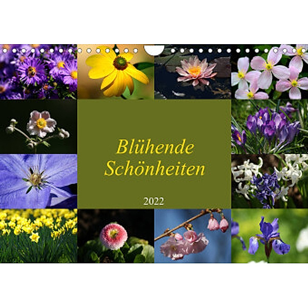 Blühende Schönheiten 2022 (Wandkalender 2022 DIN A4 quer), Peter Hebgen