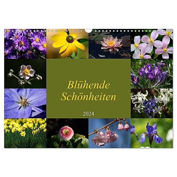Blühende Schönheiten 2024 (Wandkalender 2024 DIN A3 quer), CALVENDO Monatskalender, Peter Hebgen