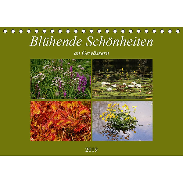 Blühende Schönheiten an Gewässern (Tischkalender 2019 DIN A5 quer), Winfried Erlwein