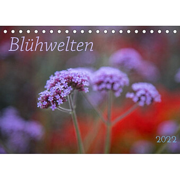 Blühwelten (Tischkalender 2022 DIN A5 quer), Evelyn Taubert