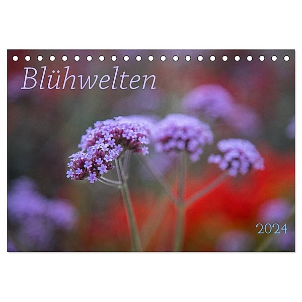 Blühwelten (Tischkalender 2024 DIN A5 quer), CALVENDO Monatskalender, Evelyn Taubert
