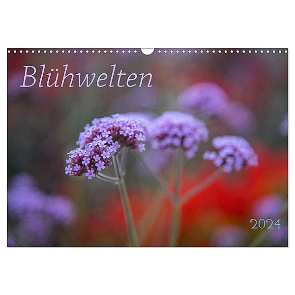 Blühwelten (Wandkalender 2024 DIN A3 quer), CALVENDO Monatskalender, Evelyn Taubert