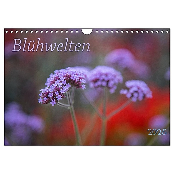 Blühwelten (Wandkalender 2025 DIN A4 quer), CALVENDO Monatskalender, Calvendo, Evelyn Taubert