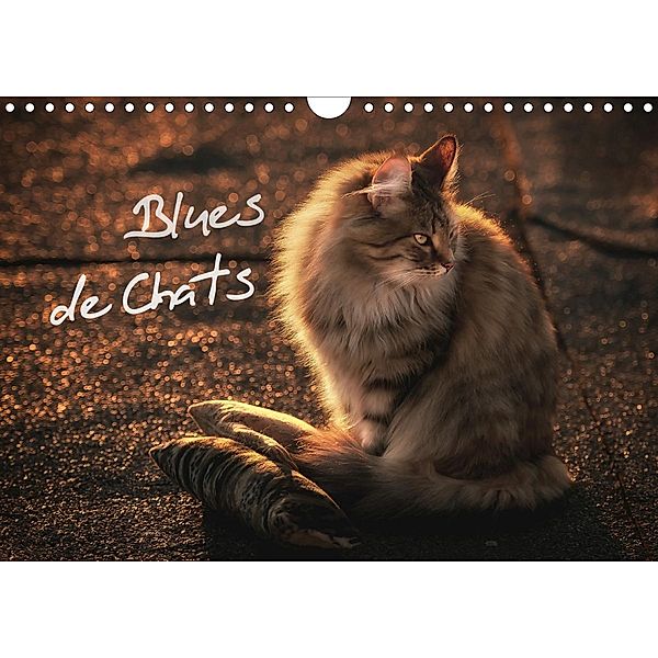 Blues de Chats (Calendrier mural 2021 DIN A4 horizontal), Viktor Gross