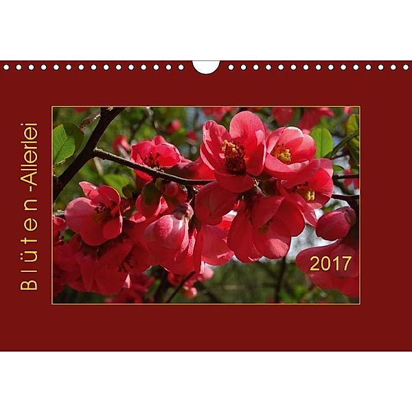 Blüten-Allerlei (Wandkalender 2017 DIN A4 quer), Angelika Keller