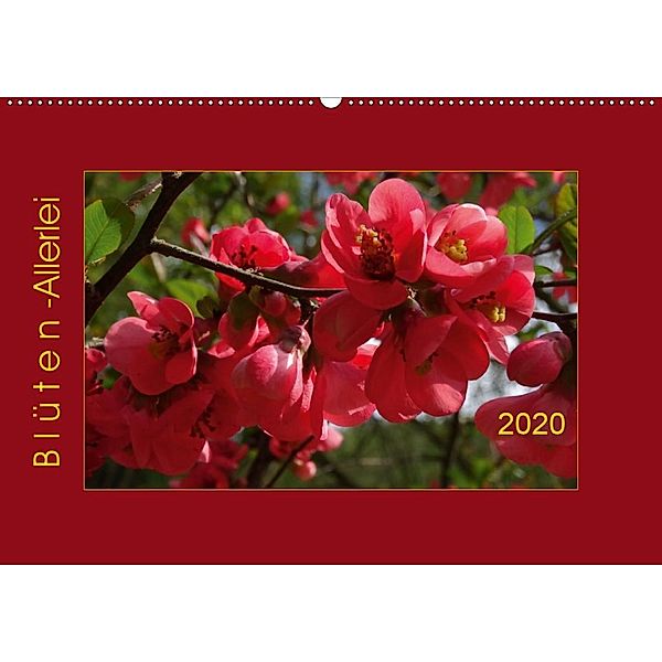 Blüten-Allerlei (Wandkalender 2020 DIN A2 quer), Angelika Keller