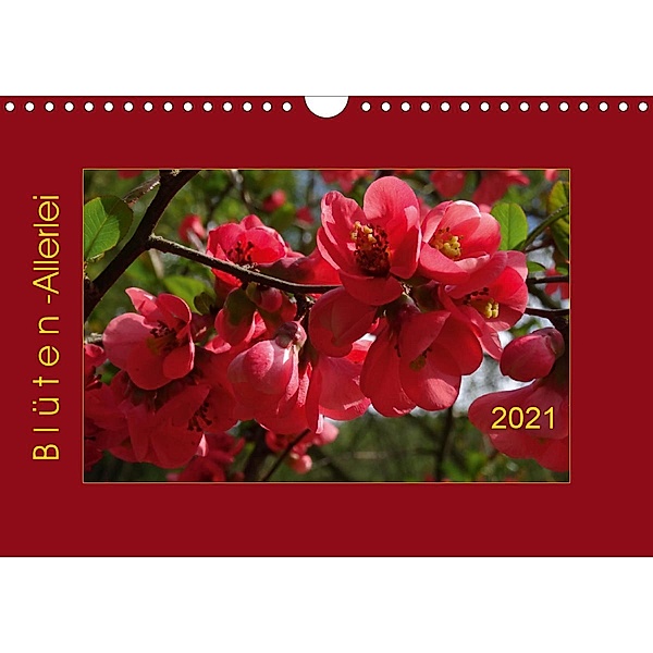 Blüten-Allerlei (Wandkalender 2021 DIN A4 quer), Angelika Keller