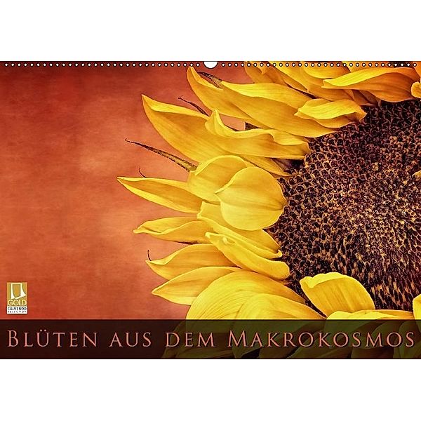 Blüten aus dem Makrokosmos (Wandkalender 2018 DIN A2 quer), Bettina Dittmann