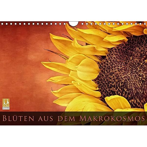 Blüten aus dem Makrokosmos (Wandkalender 2018 DIN A4 quer), Bettina Dittmann