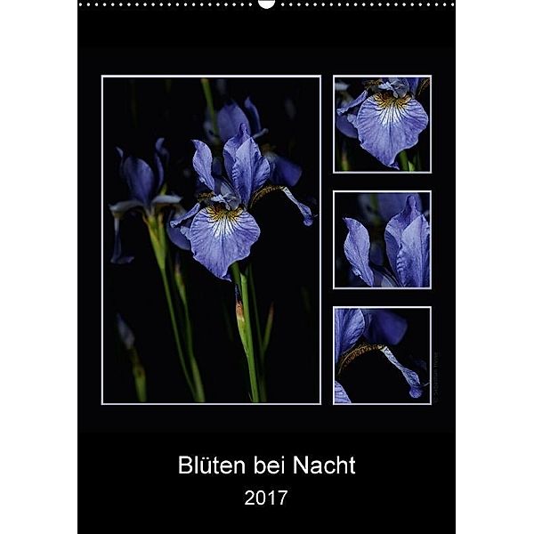 Blüten bei Nacht 2017 (Wandkalender 2017 DIN A2 hoch), Sebastian Heine