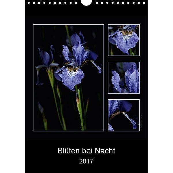 Blüten bei Nacht 2017 (Wandkalender 2017 DIN A4 hoch), Sebastian Heine
